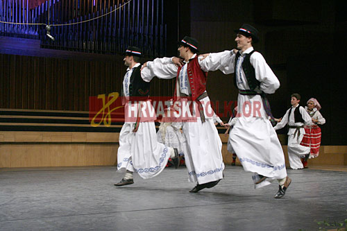 lisinskizeljeznicar (146)